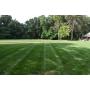 Tract 2-5+/- Acres-Real Estate Auction