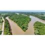 2.81+/- Acres-Riverfront Wooded Acres-Real Estate Auction