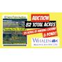 82.52+/- ACRES-RECREATIONAL & TILLIABLE FARM AUCTION