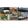 Waverly Area Auction
