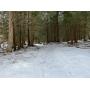 13.8 Acres Land Auction