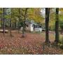 3366 Tarbox Rd. Cassadaga NY Real Estate