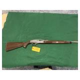 Remington Nylon 66 Stainless 22LR
