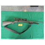 Savage 93R17 17 HMR
