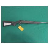 Ruger American Rimfire 22LR