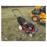 Push Lawnmower with Bagger
