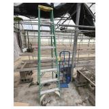 Dolly Cart and 8ft Werner Ladder