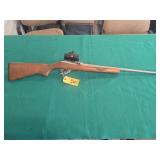 Ruger 10/22 Rifle 22LR