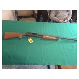 TR Imports Express 12 GA