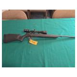 Savage B17 17 HMR