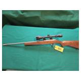 Ruger 10/22 Rifle 22LR