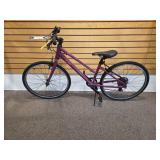 New Liv Alight 24 in. Bike