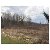 Vacant Land on South Pearl (+/- 199