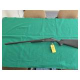 Stevens Model 301 20GA