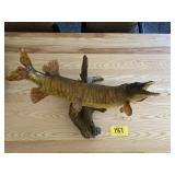Taxidermy Muskie
