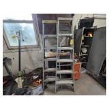 Tricam and Werner step Ladders