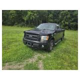 2013 Ford F150