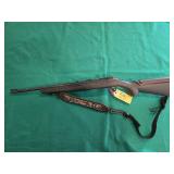 Ruger American 22LR