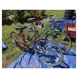 Pair of Schwinn Suburban Bicycles