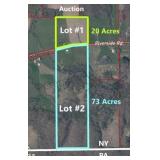 Both Auction Lots - #1 & #2