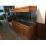 Meb Dennis / Collectible Auction / With Pre-Bidding