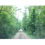 Conewango Real Estate Auction