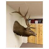 Online moving auction