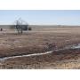 24.85 +/- Acres of Grassland