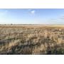 Farm #1 (160 +/- Acres)