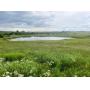 153 +/- Ac. | Good Livestock Land | Ponds & Creek
