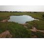 160 +/- Ac. | Livestock Land | Ponds | Aline Area