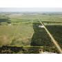 Property #1 (80 +/- Acres w/ Hunting Potential)