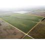 Farm #1 (160 +/- Acres), Major Co., OK
