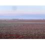 Farm #1: 156 +/- Ac. (SE/4, less 3.76 +/- Ac.)