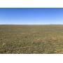 Farm #1: NE/4 | Mutual/Seiling Area