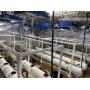 Hydroponic Grow System