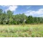 80 +/- Ac. | Good Grass | Hunting | Pond