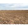 Farm #1: 160 +/- Acres, Garfield Co., OK