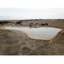 Entirety: 480 +/- Contiguous Acres, Grant Co., OK