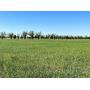 6/7 105.32 +/- Ac. | Cropland | Creek | Hwy Frontage