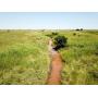 80 +/- Ac. | Cropland | CRP | Creek | Wildlife