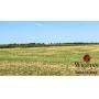 Farm #1 (120 +/- Acres)