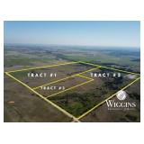 Tract #2 (60 +/- Acres): S/2 SW/4 Less Tract #3