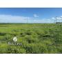 5/27 80 +/- Ac. | Sm. Grain/Lvstck/Hunting Land | Billings