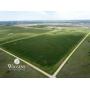 6/10 80 +/- Ac. | Productive Sm. Grain Farm | Kay Co., OK