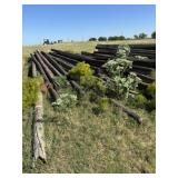 Telephone poles