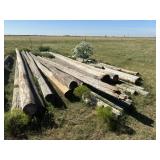 Telephone poles