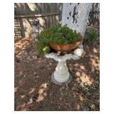Concrete Birdbath, Plastic Birdbath Bottom
