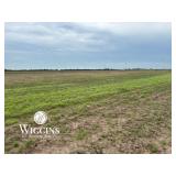 160 +/- Ac. | Productive Sm. Grain/Livestock Land