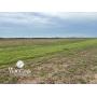 10/16 160 +/- Ac. | Productive Sm. Grain/Livestock Land
